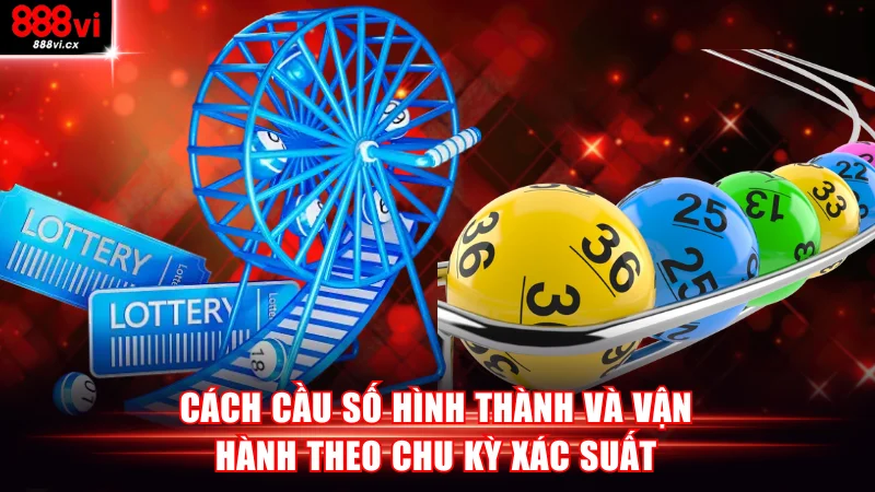 Cách cầu số hình thành và vận hành theo chu kỳ xác suất