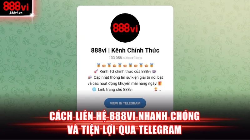 Cách liên hệ 888VI nhanh chóng và tiện lợi qua Telegram