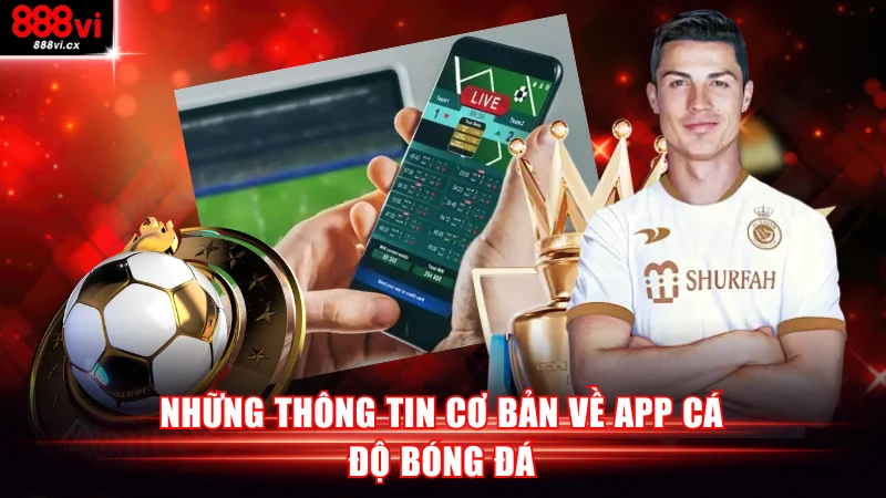 Những thông tin cơ bản về app cá độ bóng đá
