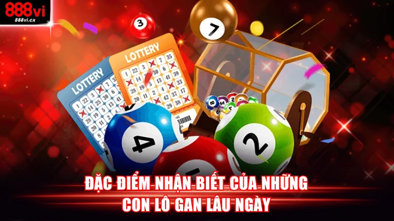 Đặc điểm nhận biết của những con lô gan lâu ngày