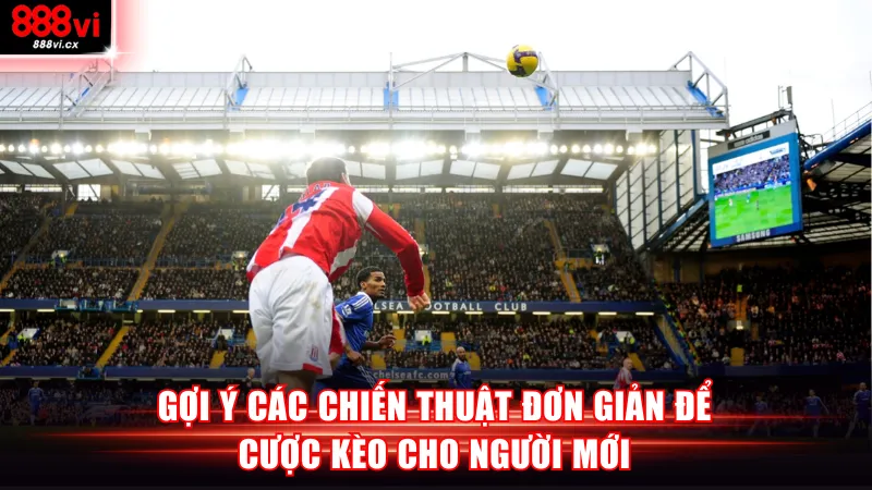 Gợi ý các chiến thuật đơn giản để cược kèo cho người mới
